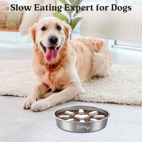 Tivray Slow Feeder Dog Bowls, 304 Stainless Steel Dog Slow Feeder Bowl 3.8 Cups Metal Dog Food Bowl with Non-Slip Bottom Anti Gulping Slow Eating Dog Bowl for Medium & Large Breed, Dishwasher Safe in Kuwait