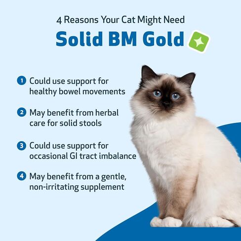 Pet Wellbeing BM Tone-Up Gold للقطط - تركيبة بيطرية - للإسهال والبراز الرخو أو السيلان - مكمل عشبي طبيعي 2 أونصة (59 مل) in Saudi Arabia
