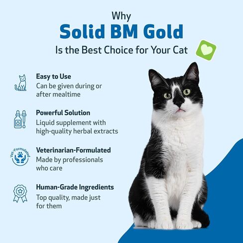 Pet Wellbeing BM Tone-Up Gold للقطط - تركيبة بيطرية - للإسهال والبراز الرخو أو السيلان - مكمل عشبي طبيعي 2 أونصة (59 مل) in Saudi Arabia