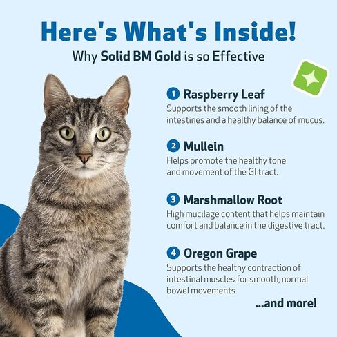 Pet Wellbeing BM Tone-Up Gold للقطط - تركيبة بيطرية - للإسهال والبراز الرخو أو السيلان - مكمل عشبي طبيعي 2 أونصة (59 مل) in Saudi Arabia