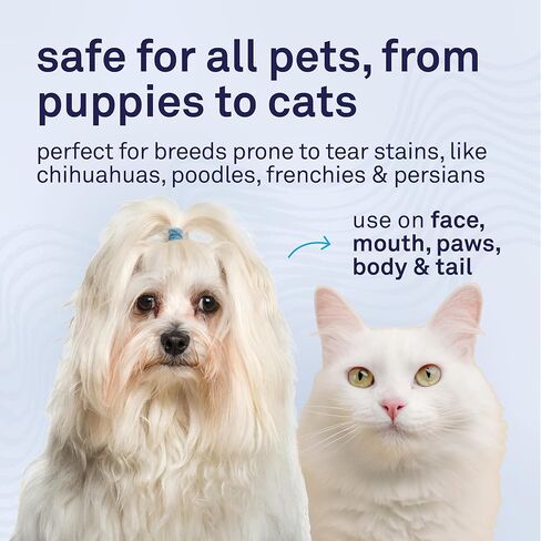 بيتبوست | مشط مزيل البقع الممزقة للكلاب - مشط أسنان فائق النعومة بلطف وفعالية يتخلص من القشور والمخاط والجنك حول الشيه تسو أو المالطي in Kuwait