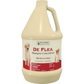 شامبو مركز للبراغيث والقراد من الكيمياء الطبيعية، 1 جالون in Kuwait