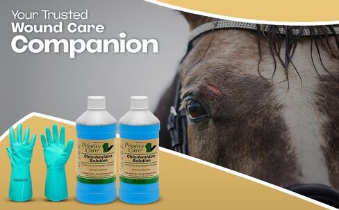 محلول الكلورهيكسيدين من شركة First Priority Care 2% - 16 أونصة سائلة - مطهر قوي لصحة بشرة الحيوانات الأليفة - متوفر بجودة ممتازة مع قفازات - عبوتان in Kuwait