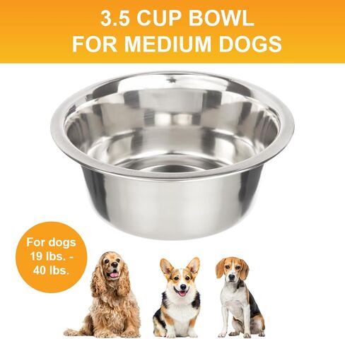 Neater Pet Brands Stainless Steel Dog and Cat Bowls - Neater Feeder Deluxe or Express Extra Replacement Bowl (Metal Food and Water Dish) (1.5 Cup Deep) in Kuwait