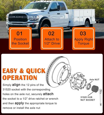 Bonbo 31520 Axle Nut Socket - 12 Pin Hub Bearing Retaining Nut Socket Tool Fits for 2019+ Dodge Ram 3500, 4500 and 5500 Heavy Duty Trucks with 12" Axles, 1/2" Drive in Saudi Arabia