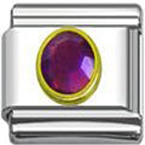 Sexy Sparkles February Birthday Birthstone Italian Charm with Gold Tone Frame in Saudi Arabia