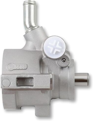 Holley 198-100 Power Steering Pump Assembly, Aluminum Corvette in Saudi Arabia