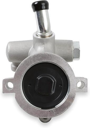 Holley 198-100 Power Steering Pump Assembly, Aluminum Corvette in Saudi Arabia