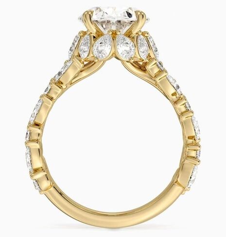 1 CT-5 CT Moissanite خاتم الخطوبة عديمة اللون VVS1 10K 14K 18K الذهب الصلب و 925 الجنيه الاسترليني الطبيعة مستوحاة من الصفوف المزدوجة الذكرى السنوية in Kuwait
