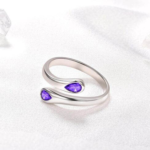 Fookduoduo Sterling Silver Adjustable Thumb Birthstone Rings for Women Promise Love Pinky Ring for Her Birthday Gifts Jewelry in Saudi Arabia