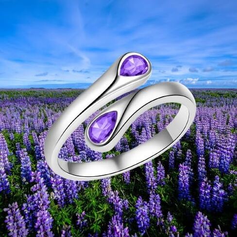 Fookduoduo Sterling Silver Adjustable Thumb Birthstone Rings for Women Promise Love Pinky Ring for Her Birthday Gifts Jewelry in Saudi Arabia