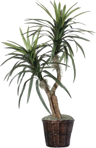 Vickerman 4' Indoor Artificial Marginata Bush, Gray Plastic Container. in Kuwait