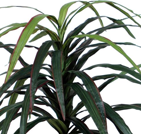 Vickerman 4' Indoor Artificial Marginata Bush, Gray Plastic Container. in Kuwait