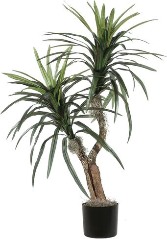 Vickerman 4' Indoor Artificial Marginata Bush, Gray Plastic Container. in Kuwait