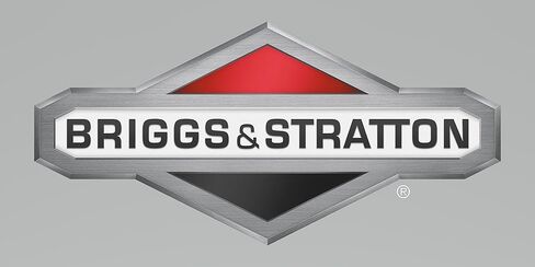 Briggs & Stratton 845291 Carburetor Float أصلي الشركة المصنعة للمعدات (OEM) in Kuwait