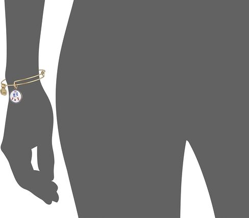 Alex and Ani Pat The Patriot Expandable Bangle Bracelet in Saudi Arabia