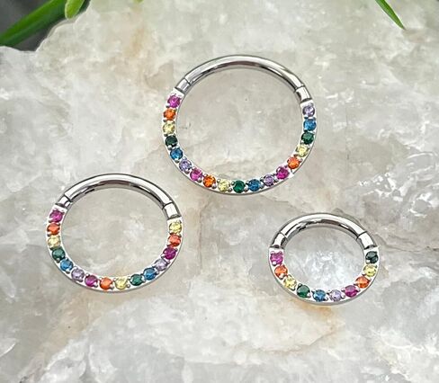 1 Piece Rainbow CZ Gems Front Hinged Segment Ring - Septum Hoop Pride Helix Daith -16g - Body Jewelry in Saudi Arabia