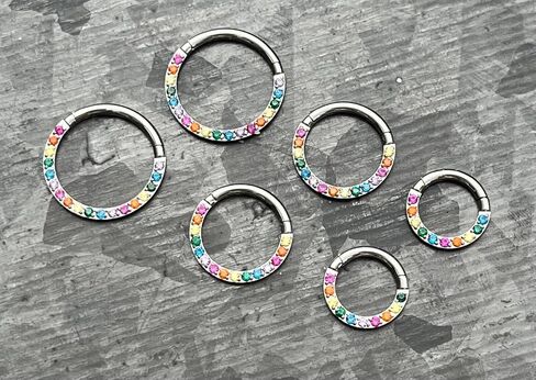 1 Piece Rainbow CZ Gems Front Hinged Segment Ring - Septum Hoop Pride Helix Daith -16g - Body Jewelry in Saudi Arabia