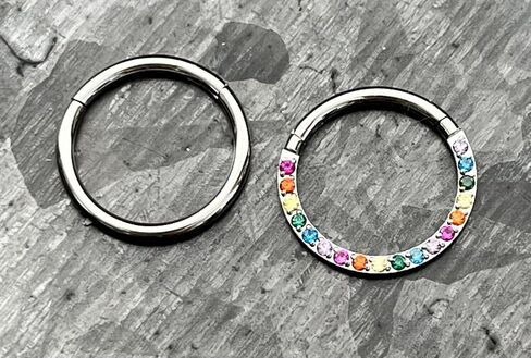 1 Piece Rainbow CZ Gems Front Hinged Segment Ring - Septum Hoop Pride Helix Daith -16g - Body Jewelry in Saudi Arabia