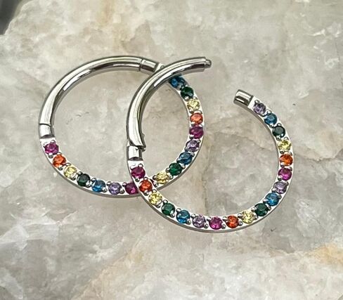 1 Piece Rainbow CZ Gems Front Hinged Segment Ring - Septum Hoop Pride Helix Daith -16g - Body Jewelry in Saudi Arabia