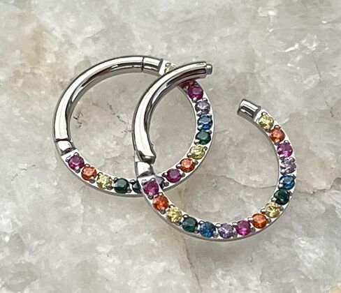 1 Piece Rainbow CZ Gems Front Hinged Segment Ring - Septum Hoop Pride Helix Daith -16g - Body Jewelry in Saudi Arabia