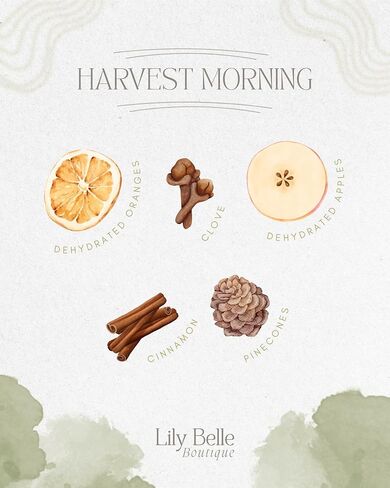 Harvest Morning Simmer Pot – All-Natural Stovetop Potpourri with Apples, Oranges, Cinnamon, Clove & Pinecones – Non-Toxic & Fragrance-Free Home Scent – 50 Hours of Cozy Fall Aroma in Saudi Arabia