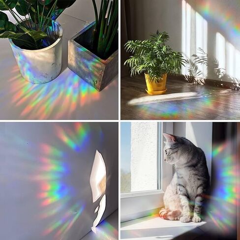 40PCS Dinosaur Window Clings - Crash Proof Window Decal Protects Birds from Window Collisions, Non-Adhesive Prism Vinyl Window Clings Film, (Rainbow Sticker) in Kuwait