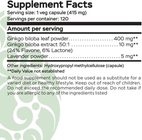 Ginkgo Biloba Natural antioxidant, Anti-Aging 120 Cap in Saudi Arabia