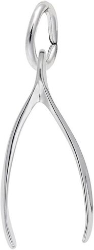 Rembrandt Wishbone Charm in Saudi Arabia
