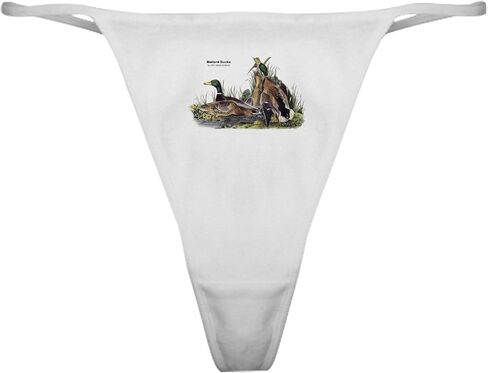 Cafepress Audubon Mallard Ducks Classic Thong Intonder ، سراويل داخلية للسيدات in Saudi Arabia