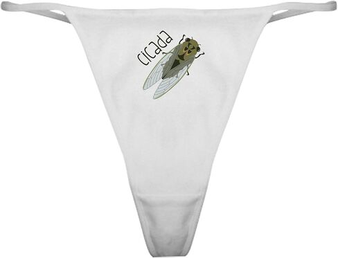 Cafepress Cicada Classic Thong Intonder ، سراويل داخلية للسيدات in Saudi Arabia