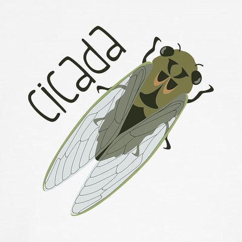 Cafepress Cicada Classic Thong Intonder ، سراويل داخلية للسيدات in Saudi Arabia