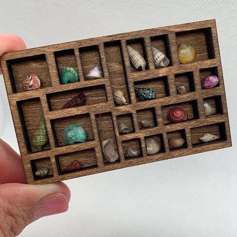 5X 1:12 Miniature Trinket Shelf Crystal Shelf Decor Printers Tray in Saudi Arabia