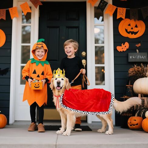 Halloween Dog Ghost Costume Set for Large Dogs, Halloween Dog White Ghost Costumes with Felt Pumpkin Candy Bucket, Dog Costumes for Large Breed with Trick or Treat Bags in Saudi Arabia