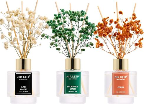 مجموعة من 3 قطع من Airkeep Reed Diffuser، موزع روائح زيت الشاي الأبيض والياسمين الأبيض النظيف من القطن لغرفة النوم وغرفة المعيشة والمكتب، موزع روائح زيت الروائح العلاجية للهدايا، 50 مل × 3 in Kuwait
