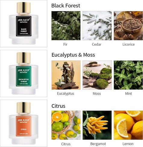 مجموعة من 3 قطع من Airkeep Reed Diffuser، موزع روائح زيت الشاي الأبيض والياسمين الأبيض النظيف من القطن لغرفة النوم وغرفة المعيشة والمكتب، موزع روائح زيت الروائح العلاجية للهدايا، 50 مل × 3 in Kuwait