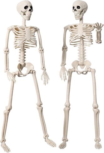 2 Pack 36" Halloween Skeleton Decorations, 3FT Realistic Full Body Movable Posable Joints Skeleton, Creepy Halloween Plastic Human Bones for Party Decor Lawn Haunted House Graveyard Props Outdoor in Saudi Arabia
