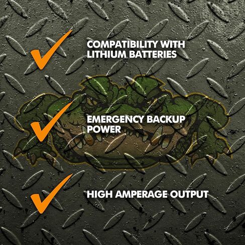 PowerMax 60Amp 12Vdc Charger Led Lighting Internal Fan with Reverse Polarity Protection and Built-in 3 Stage Charging in Kuwait