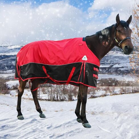Horse Care Blanket Winter 1800D Premium Turnout Horse Blanket,Medium Weight Waterproof Blanket with Turnout Neck Cover Detachable (US78 in(EU 145 cm)) in Saudi Arabia