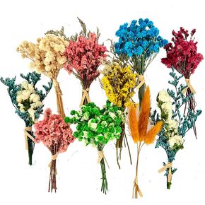 10Pcs Mini Dried Flowers Bouquet, Mixed Natural Dried Flowers Gypsophila Bouquets Boutonniere Table Centerpieces Birthday Cake Flowers for DIY Crafts