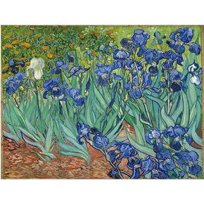 WOWDECOR DIY Painting by Numbers Kits Van Gogh Irises Flowers 40x50cm Arts and Craft Paint Kits (Flowers, Framed)