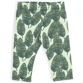 Baby Lightweight Unisex Organic Cotton Leggings Green Leaves