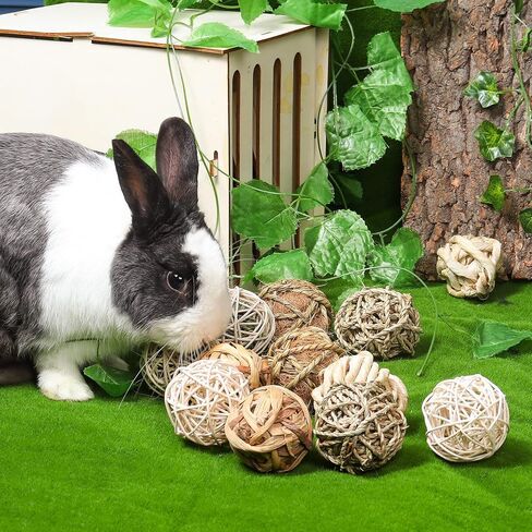 12 PCS Small Animals Activity Toys, Bunny Play Balls Rolling Chew Toys & Gnawing Treats for Rabbits Guinea Pigs Chinchilla Bunny Degus - Pet Cage Entertainment Accessories in Kuwait