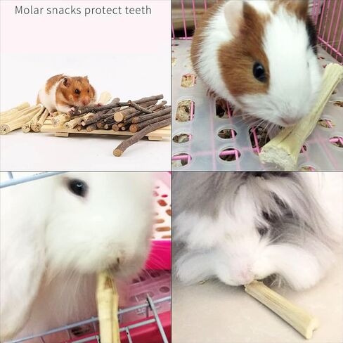 2lb Sweet Bamboo Chew Sticks for Rabbits & Guinea Pigs in Saudi Arabia