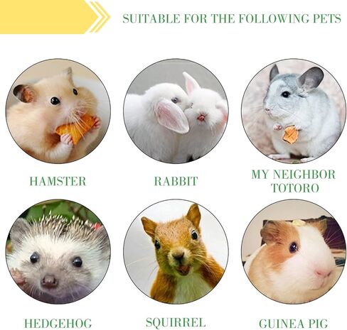 2lb Sweet Bamboo Chew Sticks for Rabbits & Guinea Pigs in Saudi Arabia