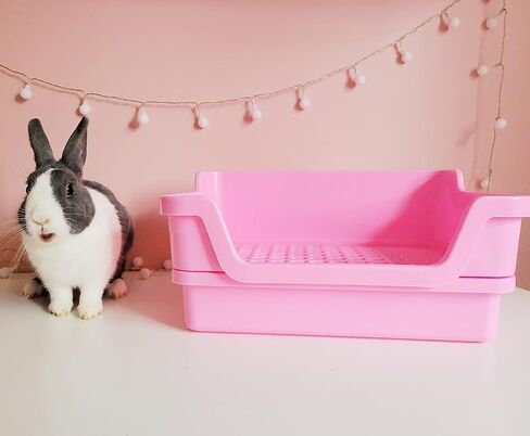 Bumbox Large Rabbit Litter Box w/Plastic Grid & Dump Tray-Bunny Poop Tray Safe for Bunny Feet Pet Bunny Supplies- Rabbit Cage Accessories for Training Corner Bunny Litter Pan (Cream) in Saudi Arabia