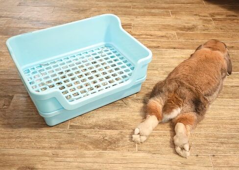 Bumbox Large Rabbit Litter Box w/Plastic Grid & Dump Tray-Bunny Poop Tray Safe for Bunny Feet Pet Bunny Supplies- Rabbit Cage Accessories for Training Corner Bunny Litter Pan (Cream) in Saudi Arabia