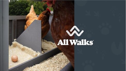Chicken Nesting Mats - Sustainably Sourced & Biodegradable Hemp Nesting Pads for Chicken Coop - Safe and Soft Hen House for Laying Eggs - American Farms 13 x 13 (6 Pack) in Saudi Arabia