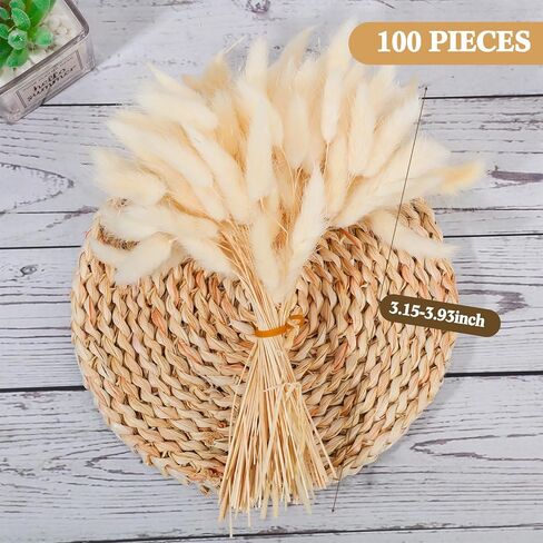 Fabbay Wedding Invitations Wraps Set Includes 50 Vellum Jackets for 5 x 7 Inch Invitations 75 Gold Wax Seal Sticker 100 Natural Dried Bunny Tail Grass for DIY Wedding Birthday Invitations Cards in Saudi Arabia