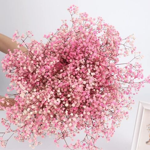 Dried-Flowers-Babys-Breath-Bouquet-17inch 3000+ Natural Gypsophila Branches for Home Decor, Wedding, Table Vase Decor, DIY Wreath Floral Florist Bouquet Supplies (Blue) in Kuwait
